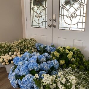 Meet your Posher, Brooklynn